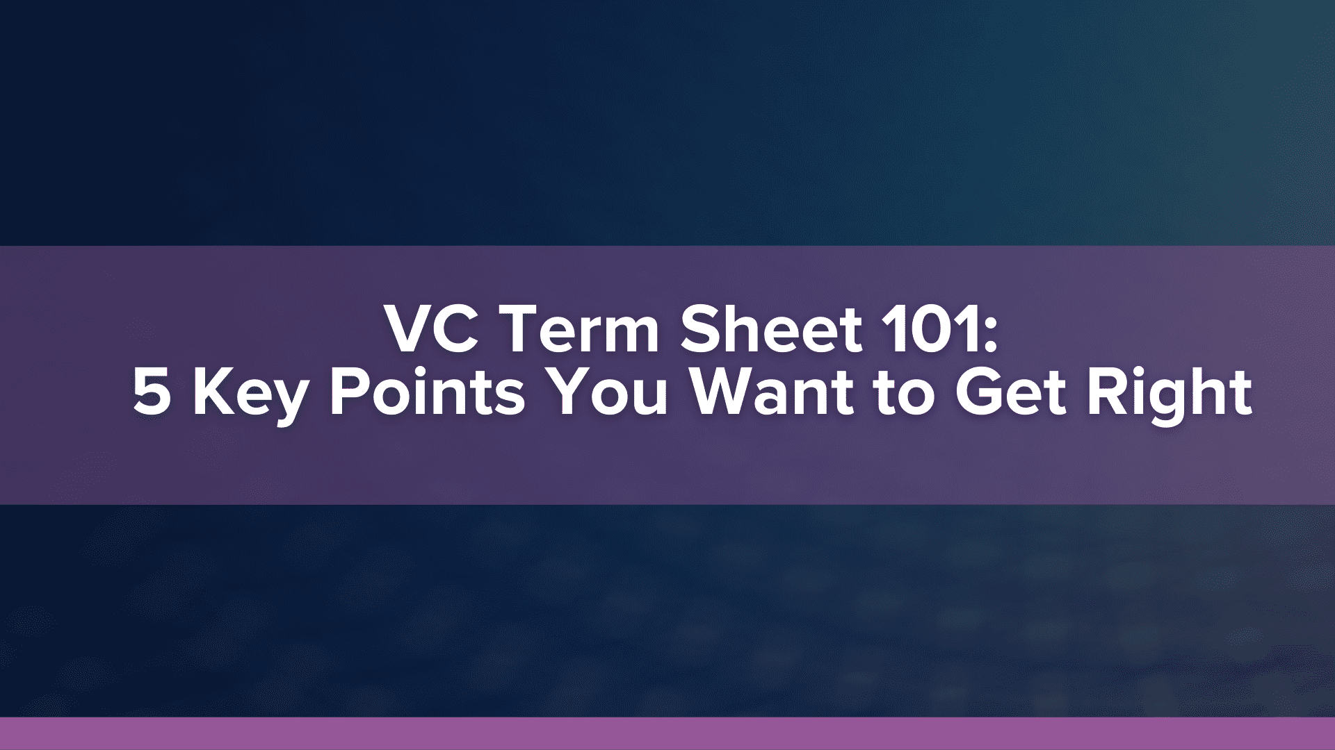 VC Term Sheet 101